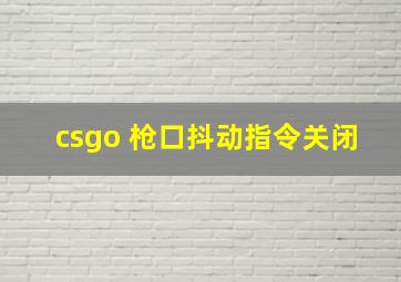 csgo 枪口抖动指令关闭